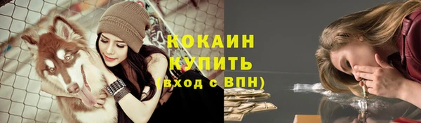 гашик Михайловка