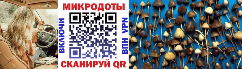 Псилоцибиновые грибы прущие грибы  Купить закладки  Белебей 